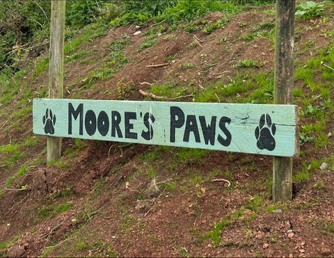 Moore’s Paws secure private dog field in Pontispool, TA4 1AL