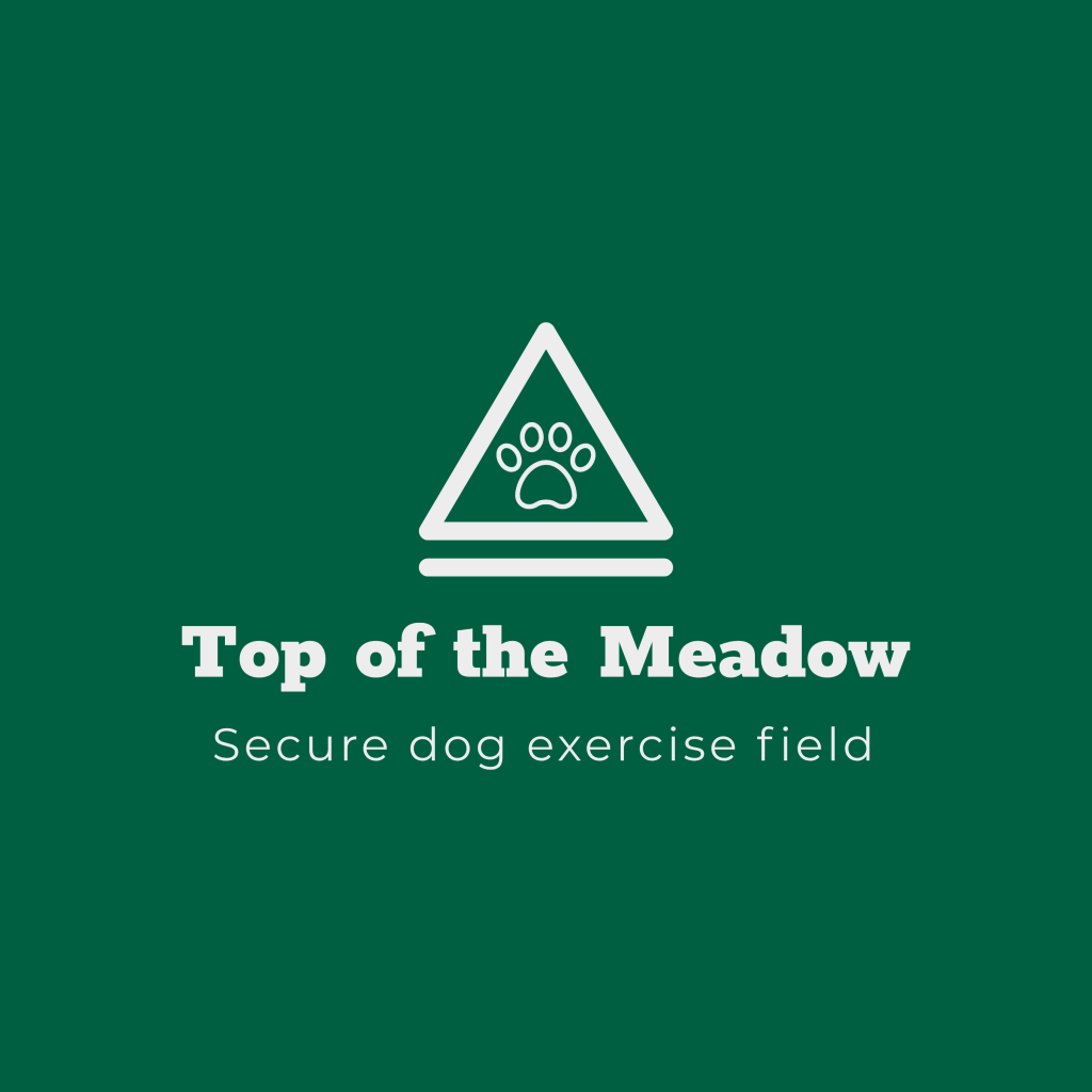 Top of the Meadow secure private dog field in Caerphilly, CF83 8ES
