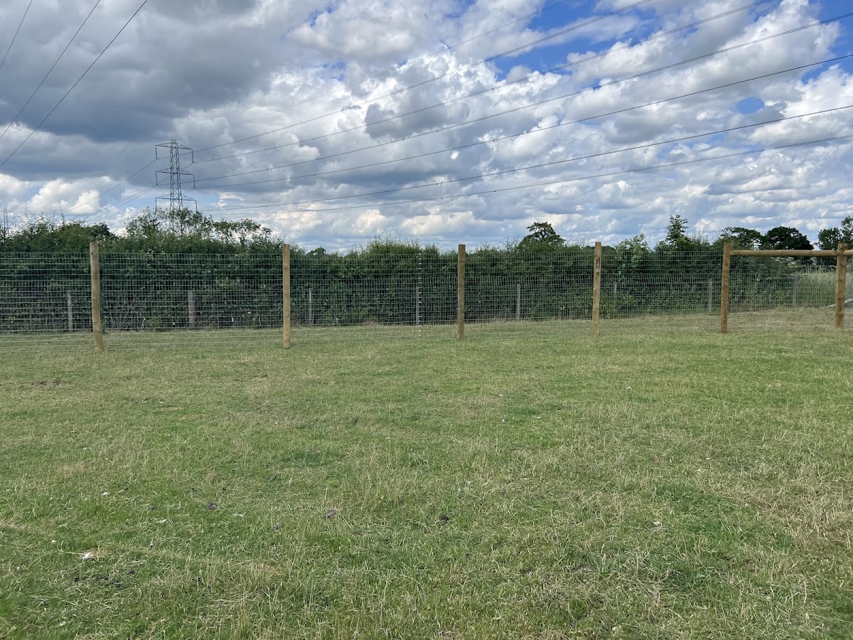 Tuppenhurst Dog Field secure private dog field in Rugeley, WS15 4HJ