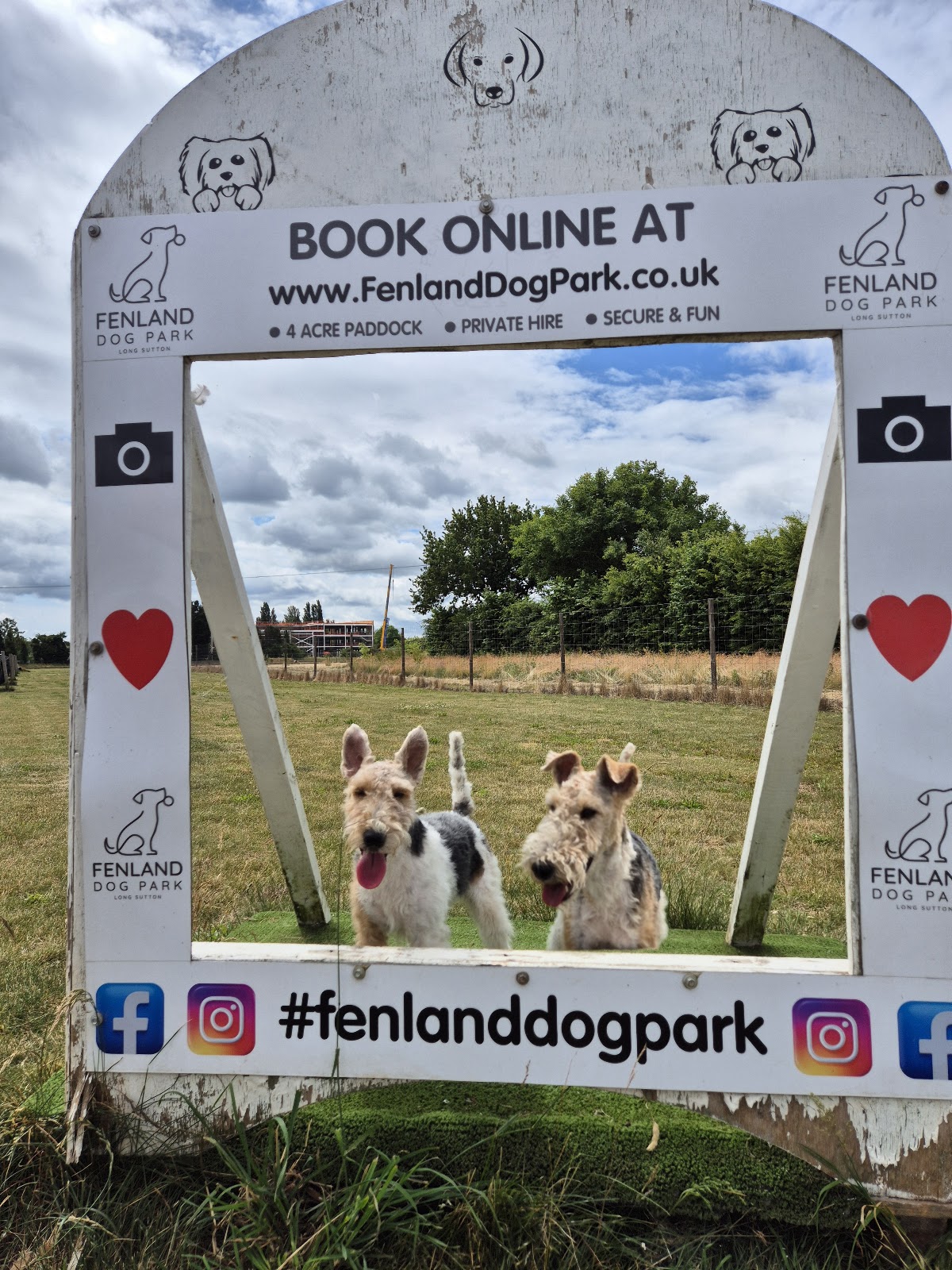 Fenland Dog Park secure private dog field in Spalding, PE12 9LH