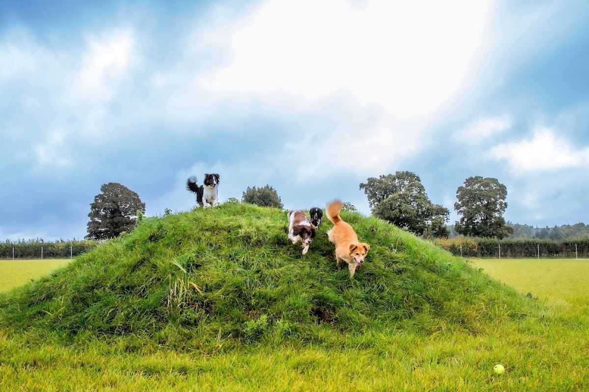 Warren Park secure private dog field in Banbury, OX17 3AW
