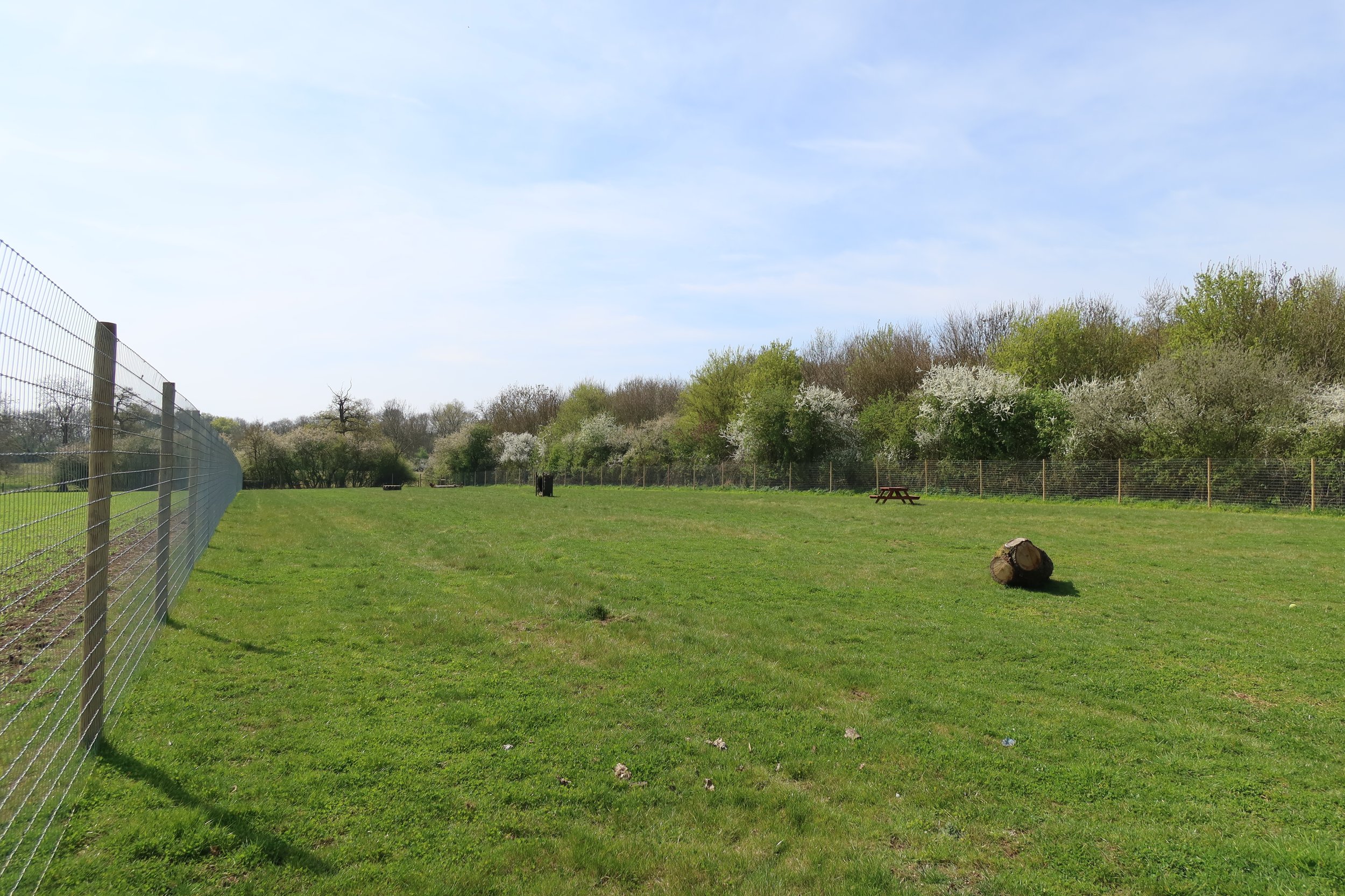 Bunsty Dog Field secure private dog field in Milton Keynes, MK16 8LQ