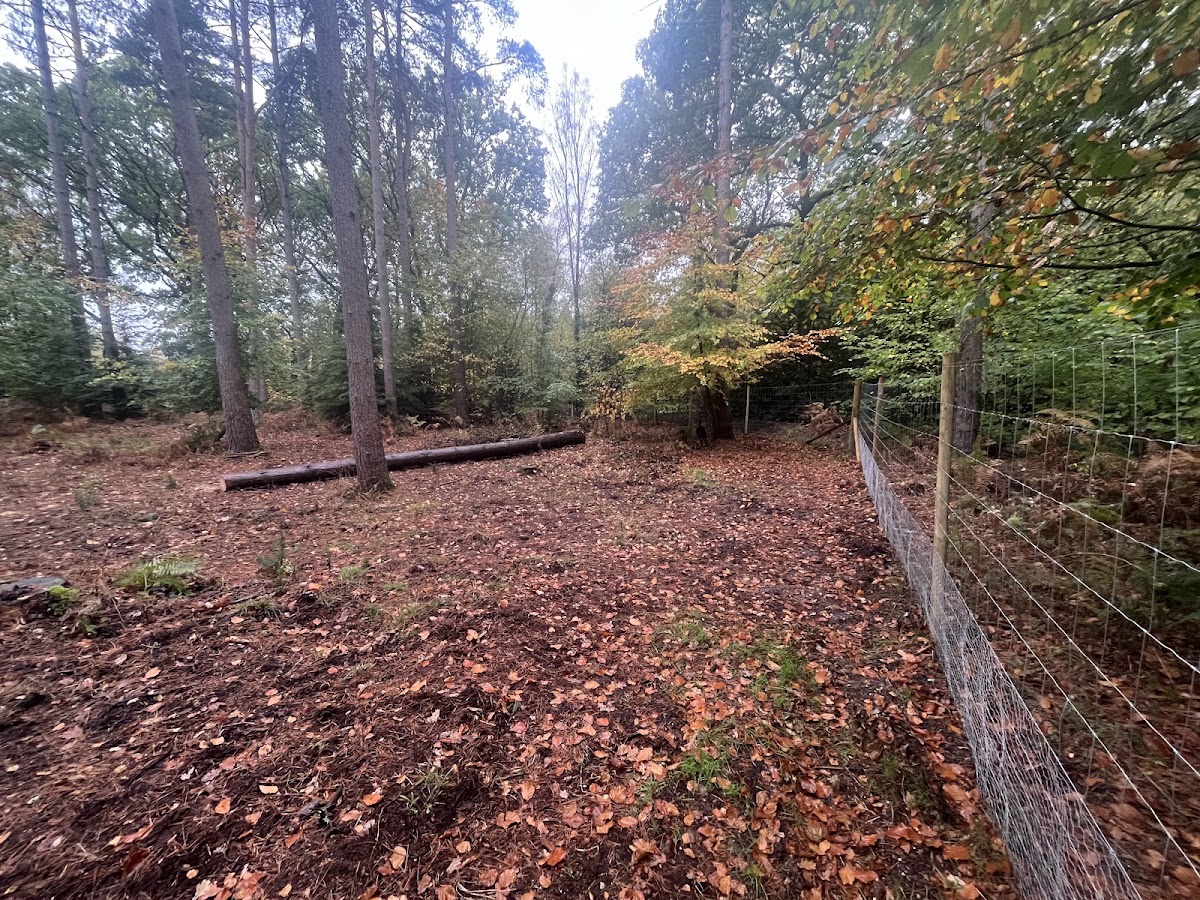 Brownhill Dogwood secure private dog field in Penwood Rd, RG20 9EW