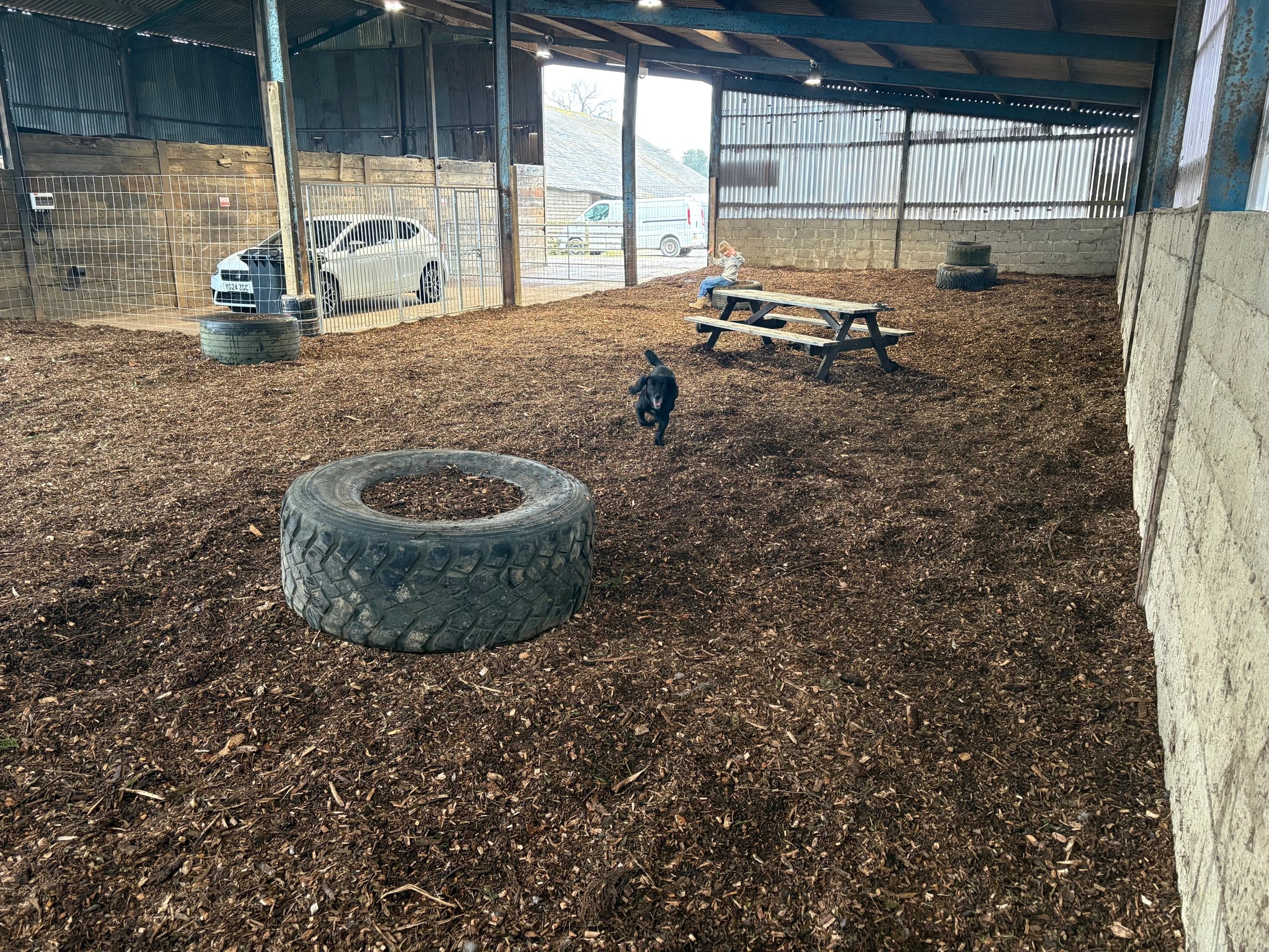 Oakley Dog Barn secure private dog field in Bedford, MK43 7RX