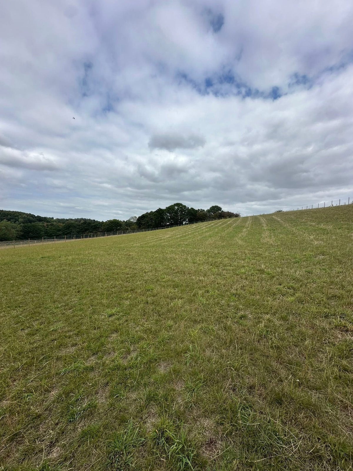 4Paws Secure Dog Field secure private dog field in Sheffield, S26 5PQ