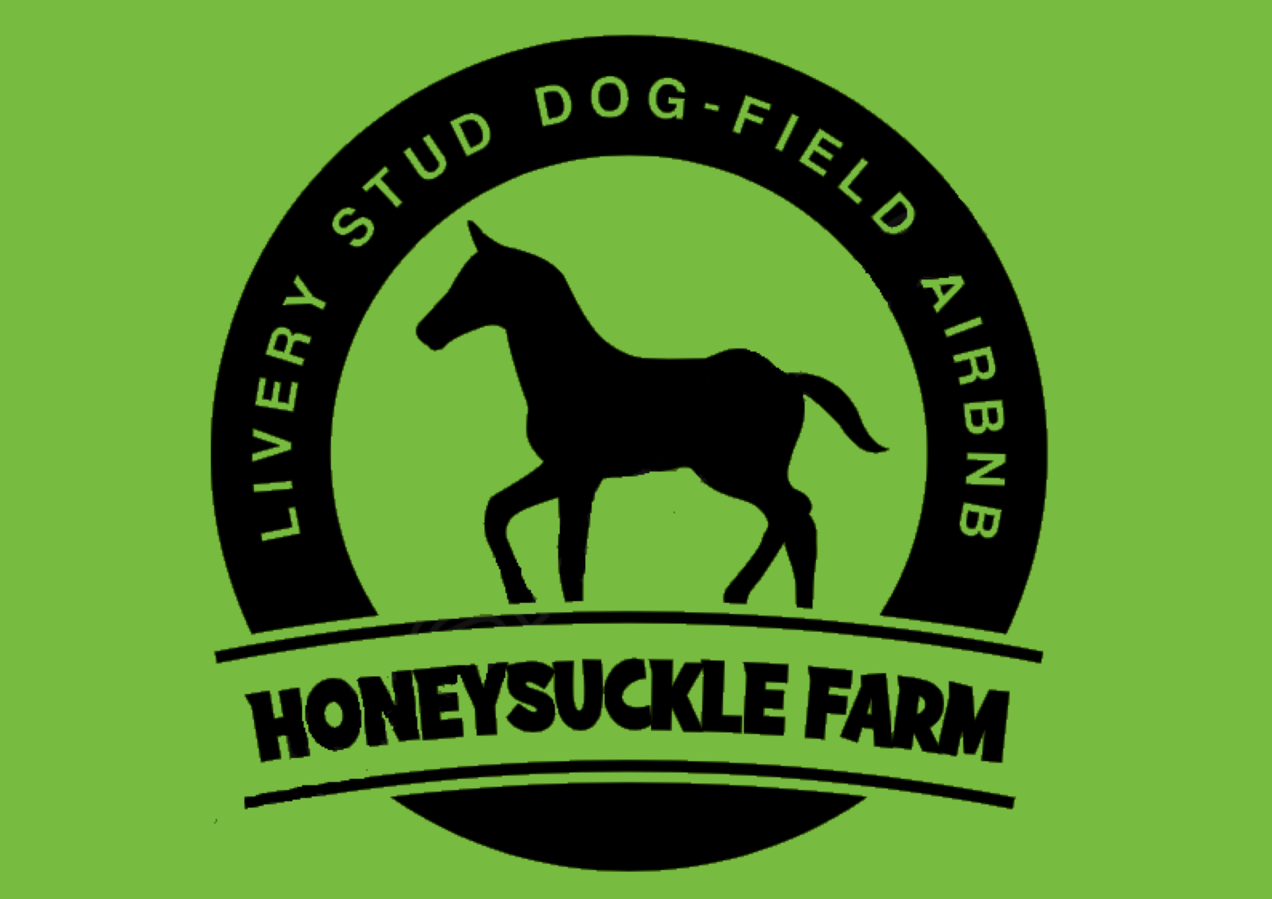 Honeysuckle Farm Dunswell secure private dog field in Hull, HU6 0AG
