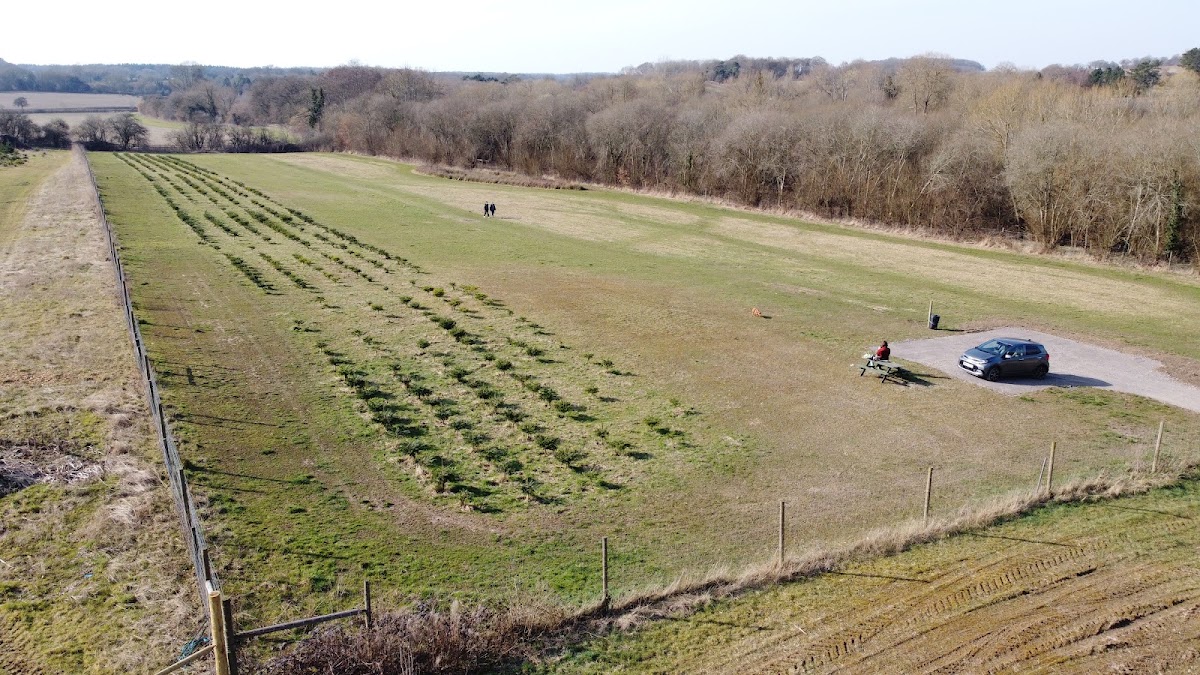 Hettie's Dog Parks secure private dog field in Christmas Tree Farm, RG20 8BN