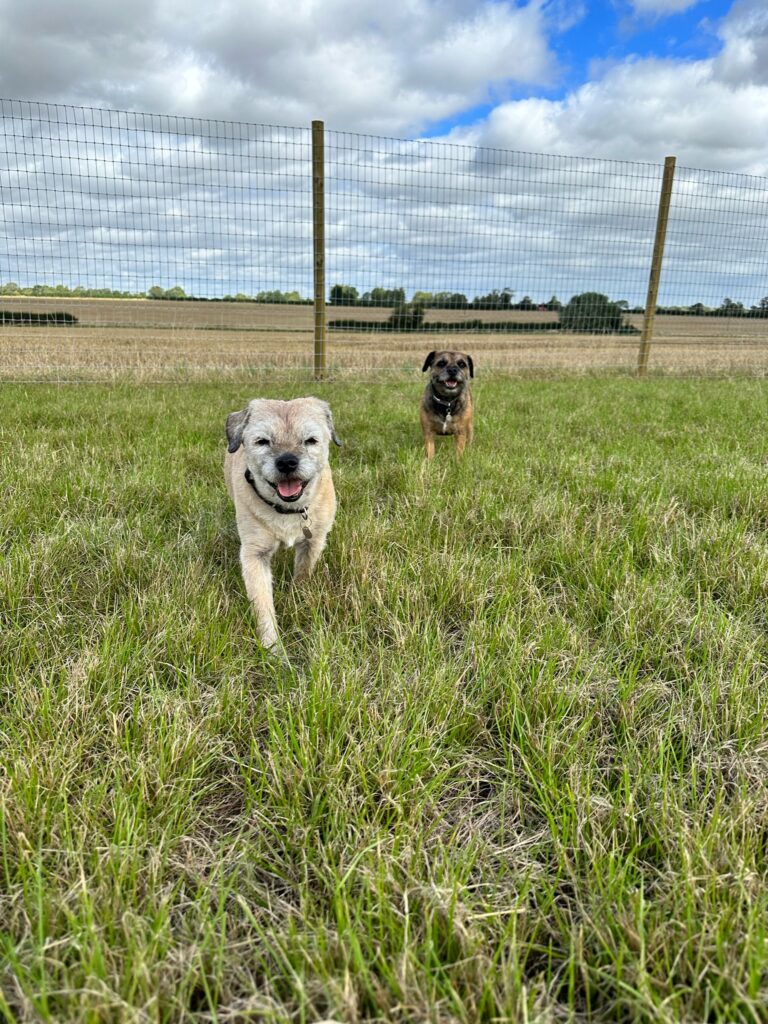 The Dog Park Co secure private dog field in Lincoln, LN3 4DU