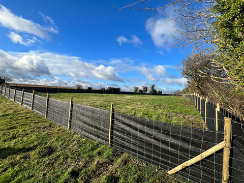 Puppies in the Paddock secure private dog field in Sittingbourne, ME9 8HX