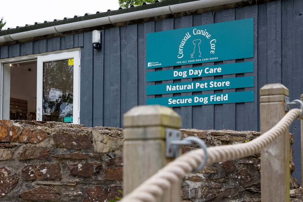 Cornwall Canine Care secure private dog field in Hayle, TR27 6HJ