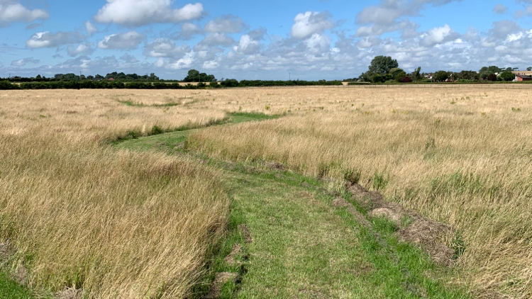 A-maze-in dog walks secure private dog field in Liverpool, L31 4HZ