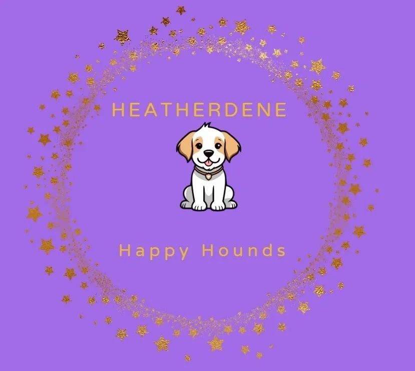 Heatherdene Happy Hounds secure private dog field in Matlock, DE4 5LF