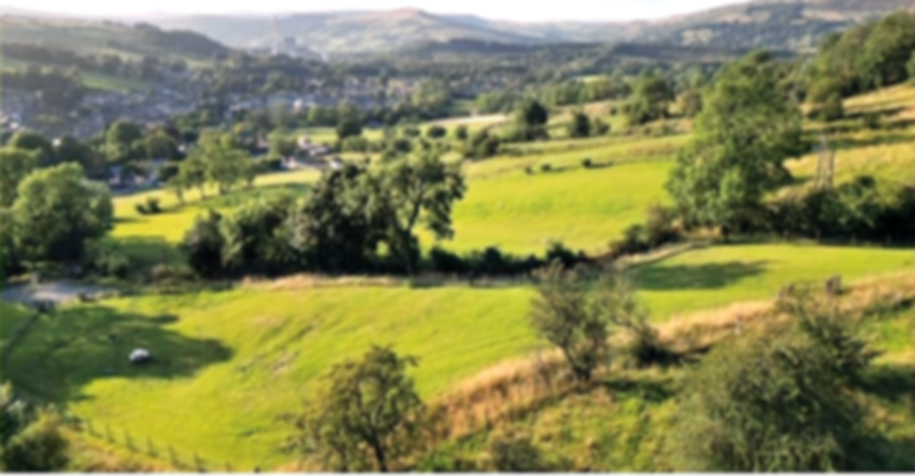Rural Paws Bradwell secure private dog field in Hope Valley, S33 9HZ
