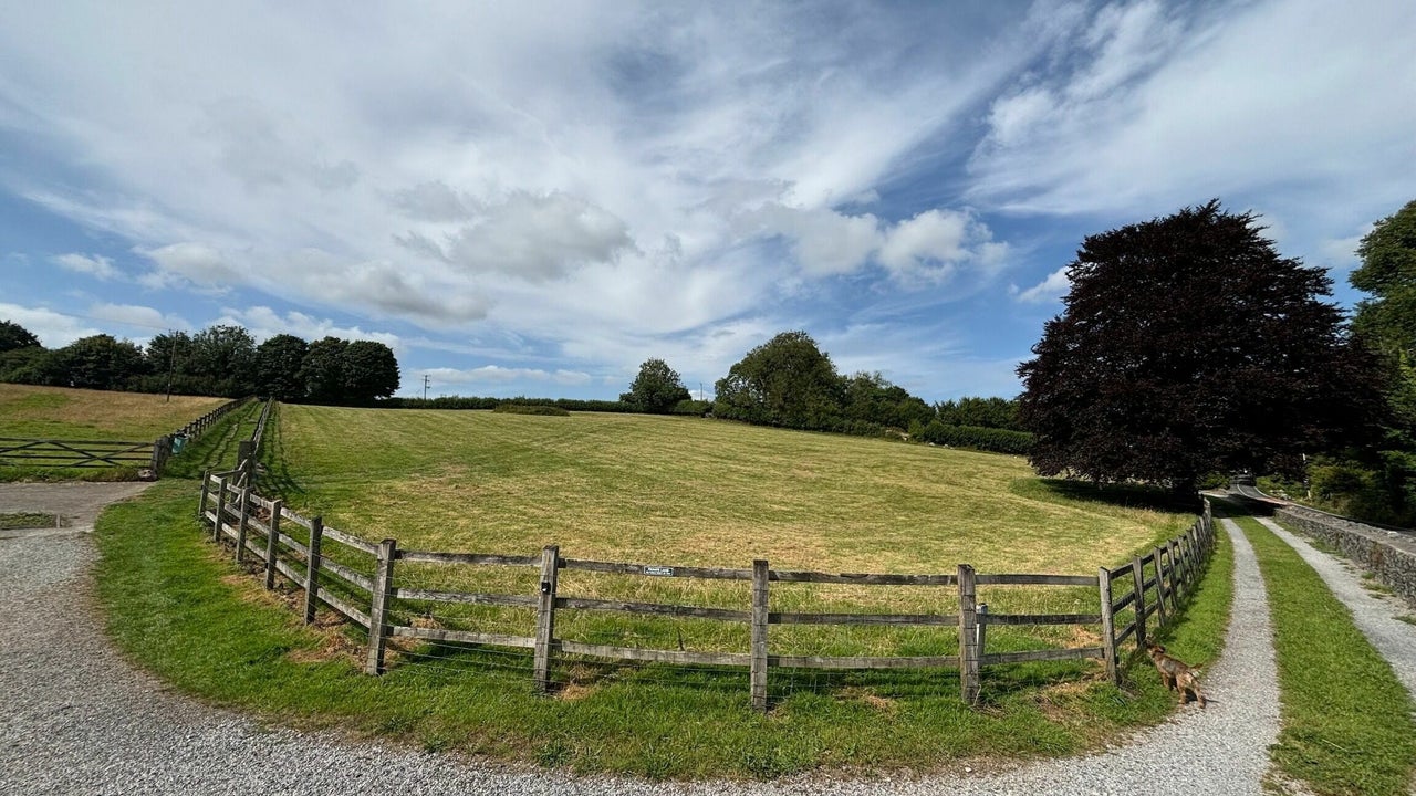 Dug's Dog Park secure private dog field in Radstock, BA3 5AF