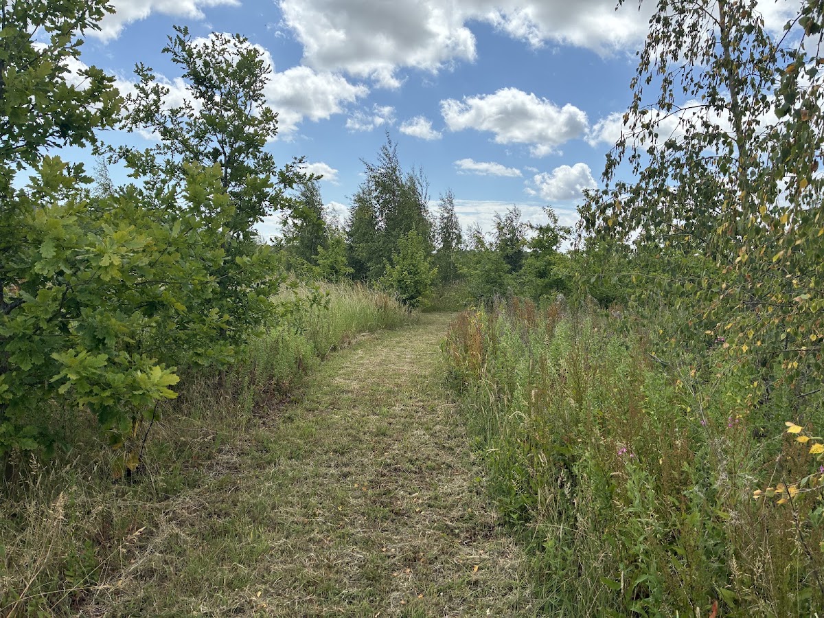 Spring Hill Farm Woodland Dog Walking Area secure private dog field in Banbury, OX15 0PL