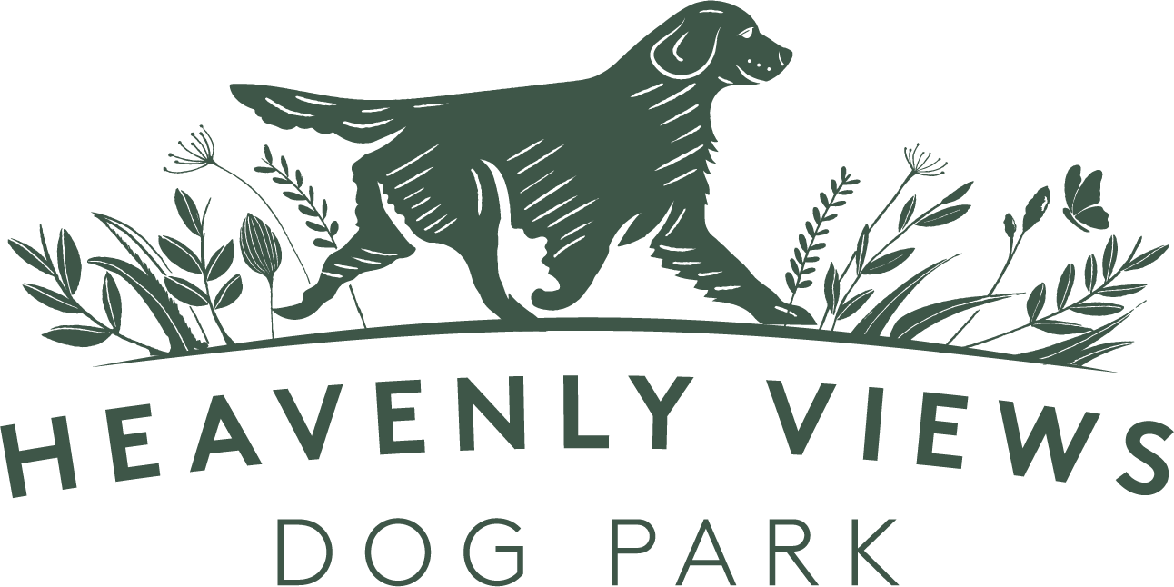 Heavenly Views Dog Park secure private dog field in Chard, TA20 3JU