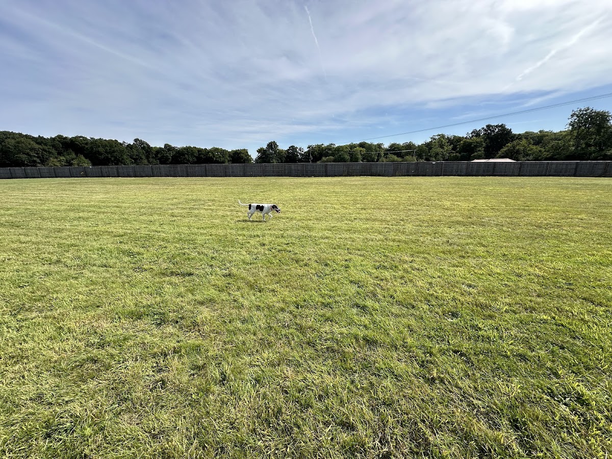 Chalfont Dog Park secure private dog field in Gerrards Cross, SL9 0QP