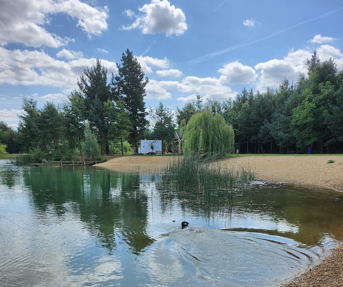 Lakeview Dog Adventure Park secure private dog field in Market Deeping, PE6 8GX