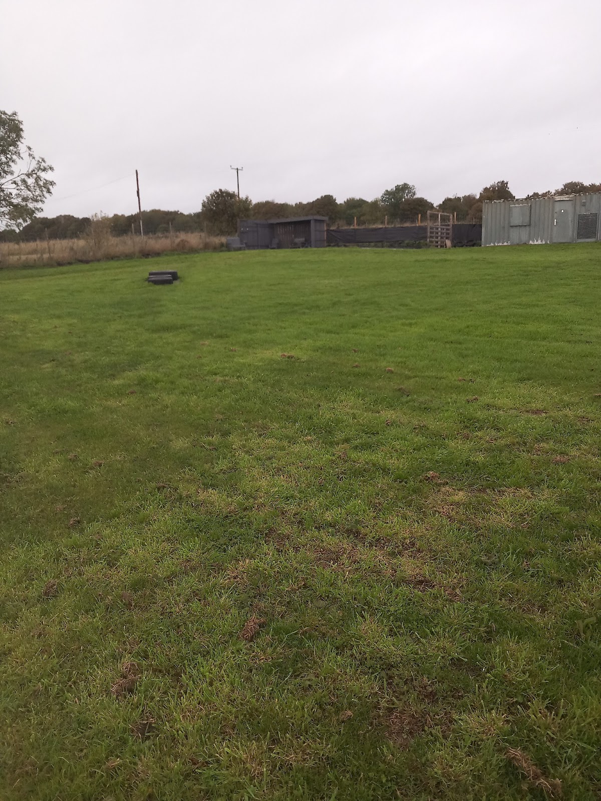 Dogxercise secure private dog field in Dundee, DD3 0QF