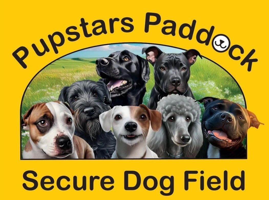 Pupstars Paddock Secure Dog Field secure private dog field in Carmarthen, SA33 5BL