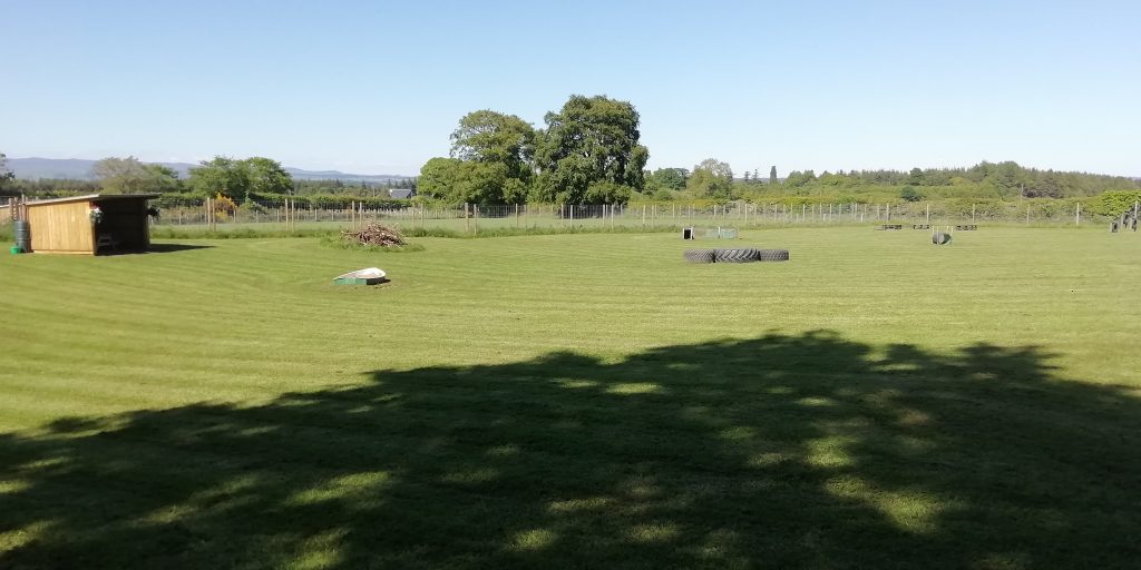 Let The Dogs Run secure private dog field in Auchterarder, PH3 1NJ