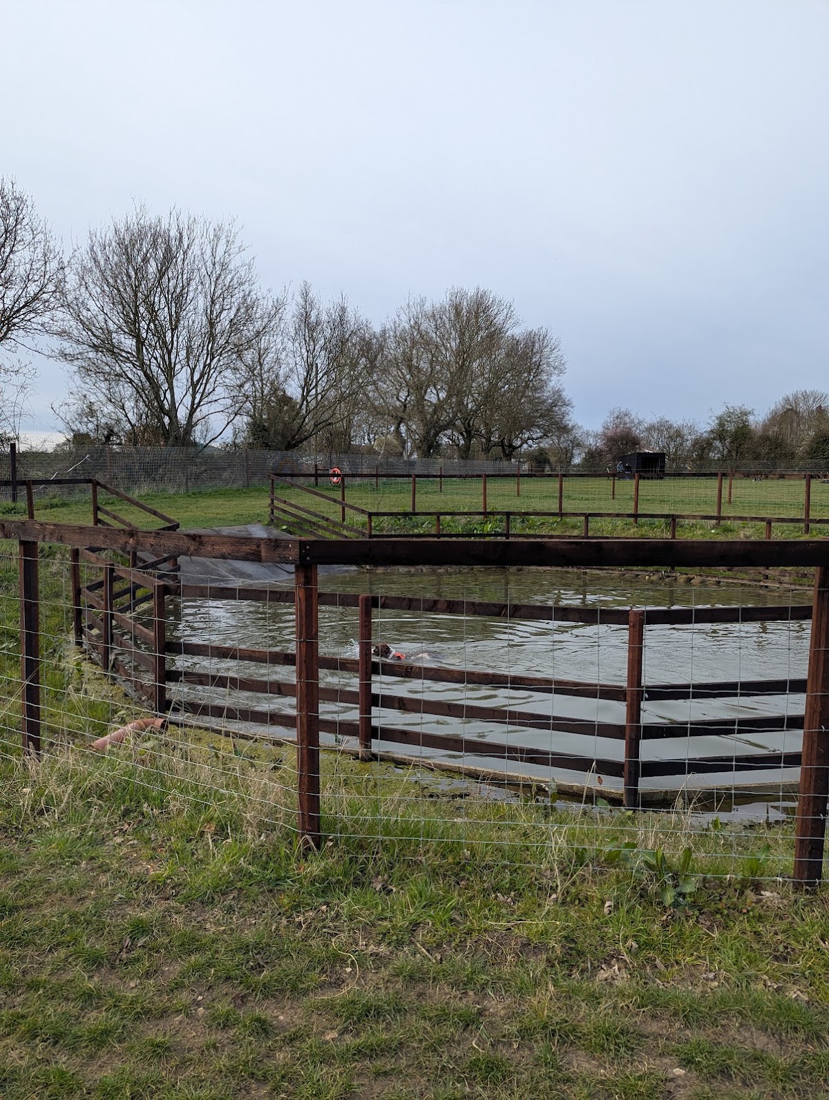 Great Ellingham Dog Meadow secure private dog field in Attleborough, NR17 1JF