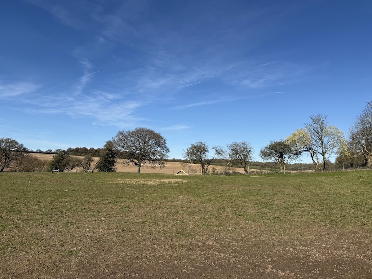 Paw Paddock - North Waltham secure private dog field in Basingstoke, RG25 2DJ