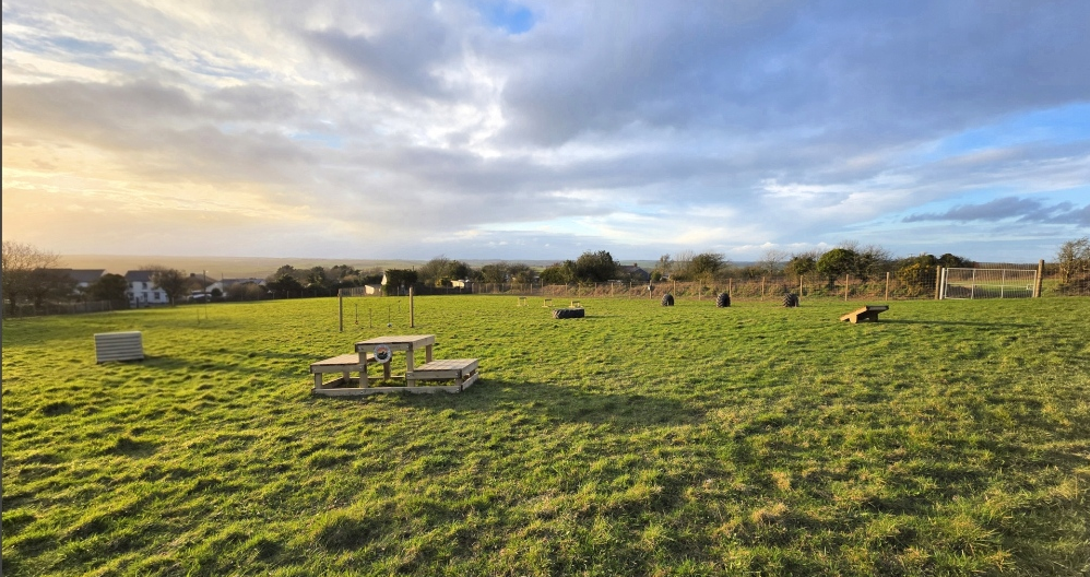 Atlantic View Farm Dog Walking Field secure private dog field in Cornwall, TR9 6LG