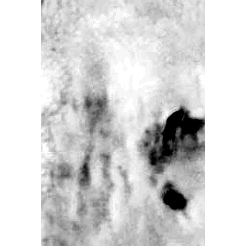 Thermocol Box