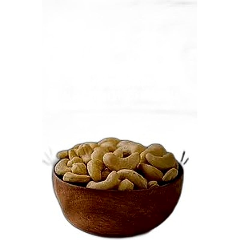 Nutrien Bio Organic Roasted Cashew Salted 23gms