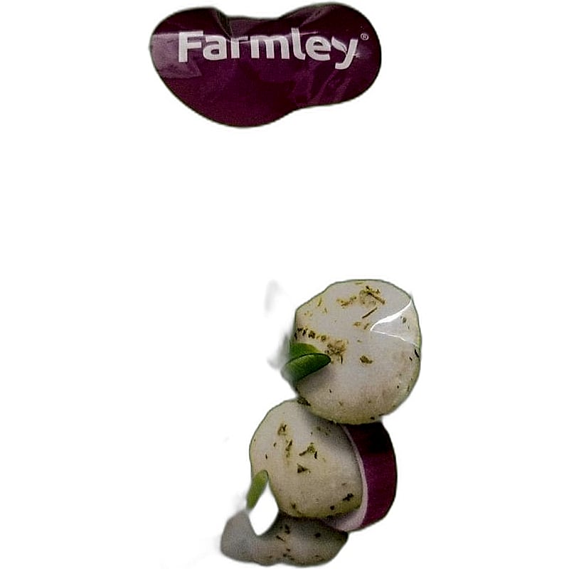 Farmley Creme & Onion Makhana 14g