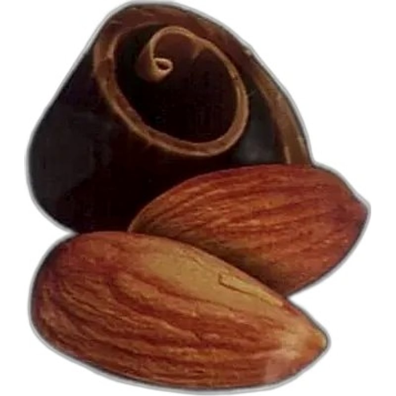 Rite Bite Choco Almond bar 25g