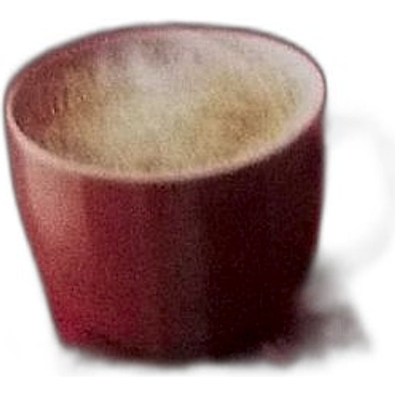 Levista Instant Coffee 100g Mrp Rs310