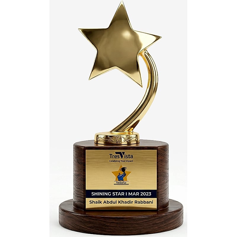Metal Star Trophy - FTB 2225 - 005