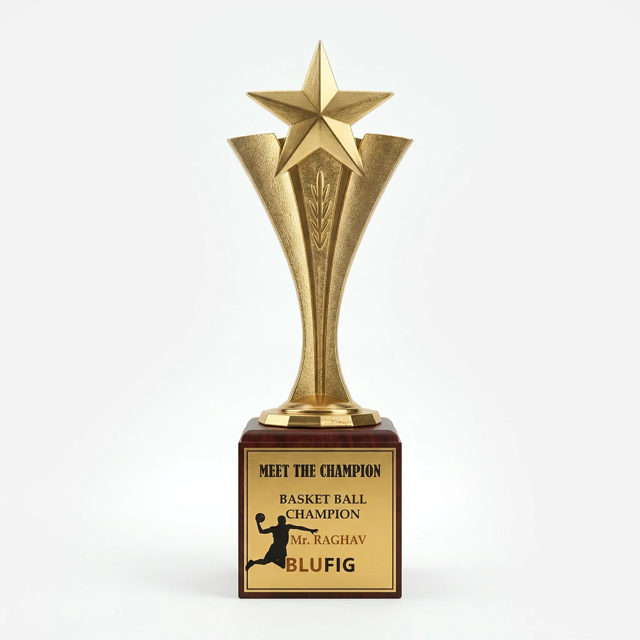 Fiber Star Trophy - FTG 6504 - 001