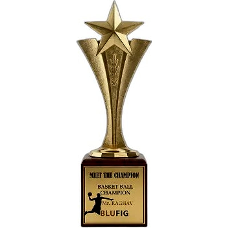 Fiber Star Trophy - FTG 6504 - 001