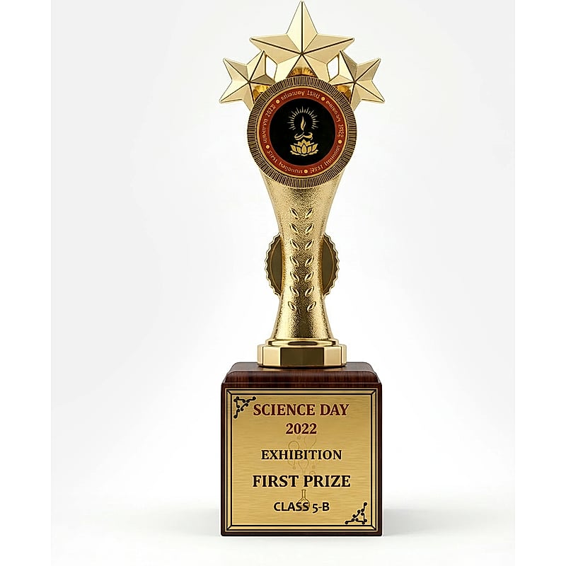 Fiber Star Trophy - FTG 6507 - 001