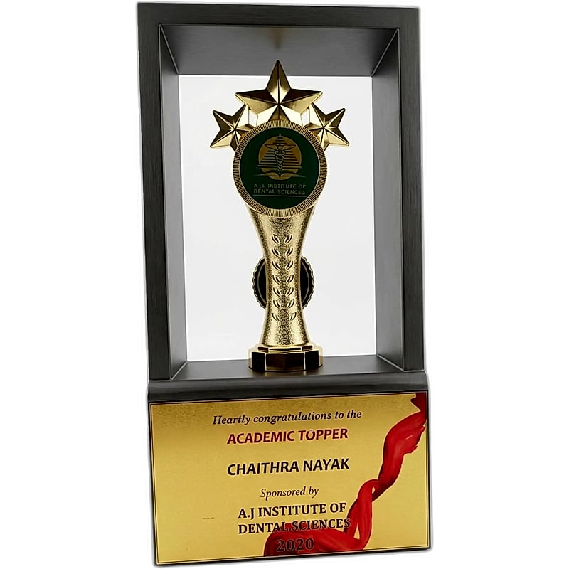 Fiber Star Trophy - FTG 6507 - 1025