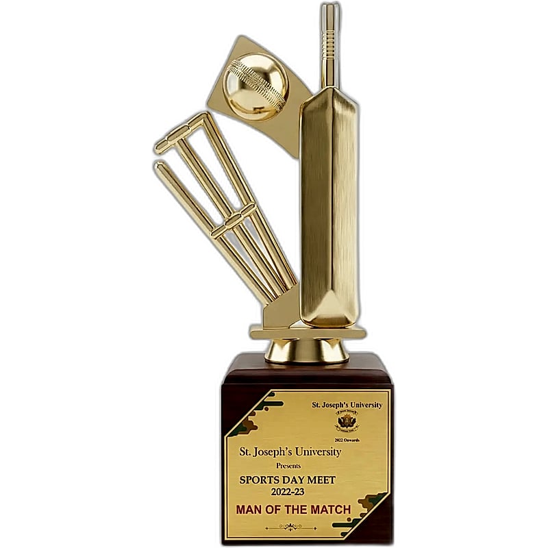 Fiber Trophy - FTG 6615 - 001 - Cricket