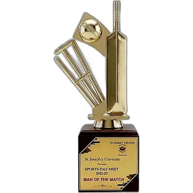 Fiber Trophy - FTG 6615 - 001 - Cricket