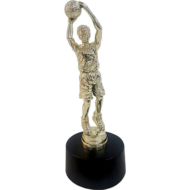 Fiber Trophy - FTDS Basketball 2