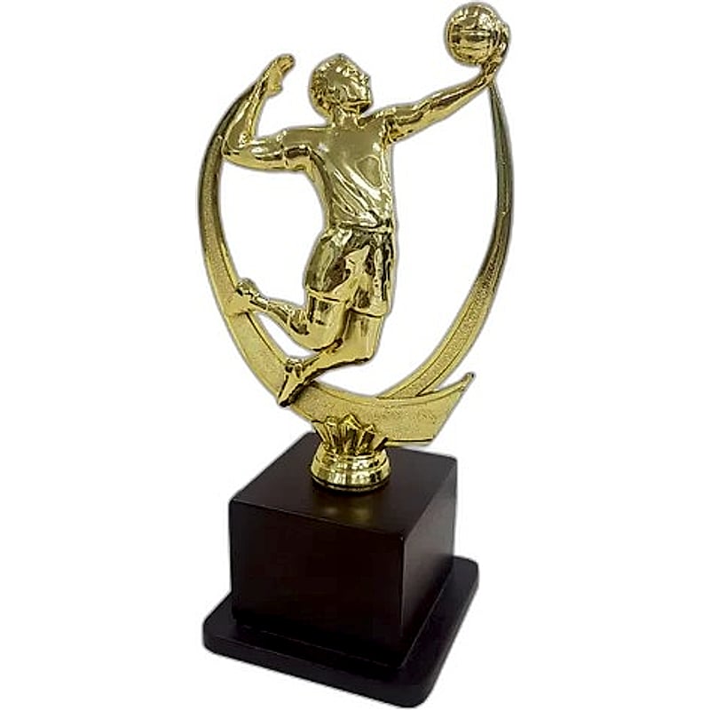 Fiber Trophy - FTDS Volleyball 1