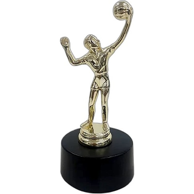 Fiber Trophy - FTDS Volleyball 2