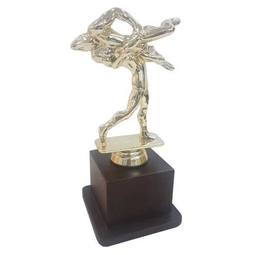 Fiber Trophy - FTDS Wrestling