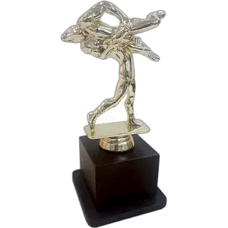 Fiber Trophy - FTDS Wrestling