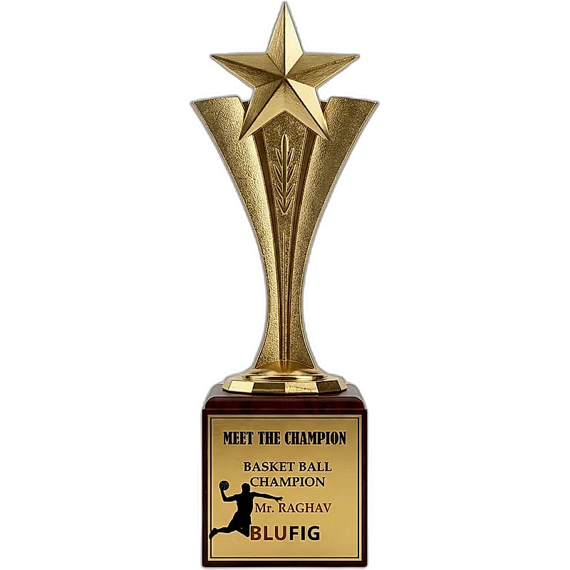 Fiber Star Trophy - FTG 6504 - 001