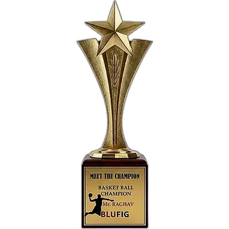 Fiber Star Trophy - FTG 6504 - 001