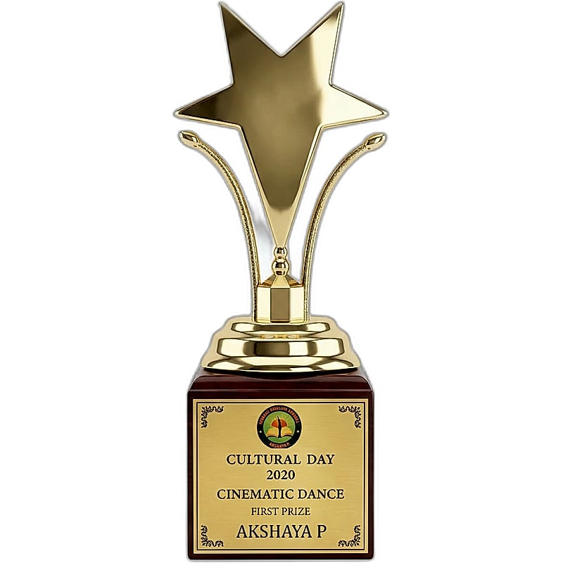 Fiber Star Trophy - FTG 6556 - 001