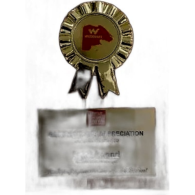 FTK Honey Brown Award - 399-338 - Wooden Plaque