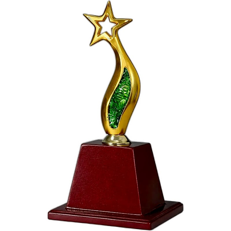 Metal Star Trophy - FTK Little Star 1727